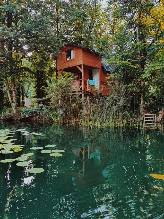 Riverland غورنيي زفيتْسا المظهر الخارجي الصورة