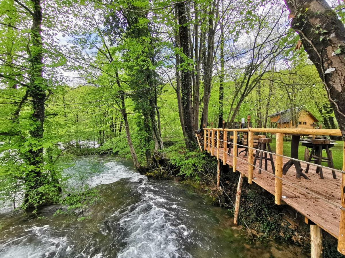 Riverland غورنيي زفيتْسا المظهر الخارجي الصورة